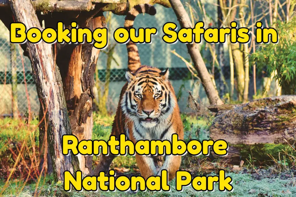 Booking Safaris in Ranthambore National Park
