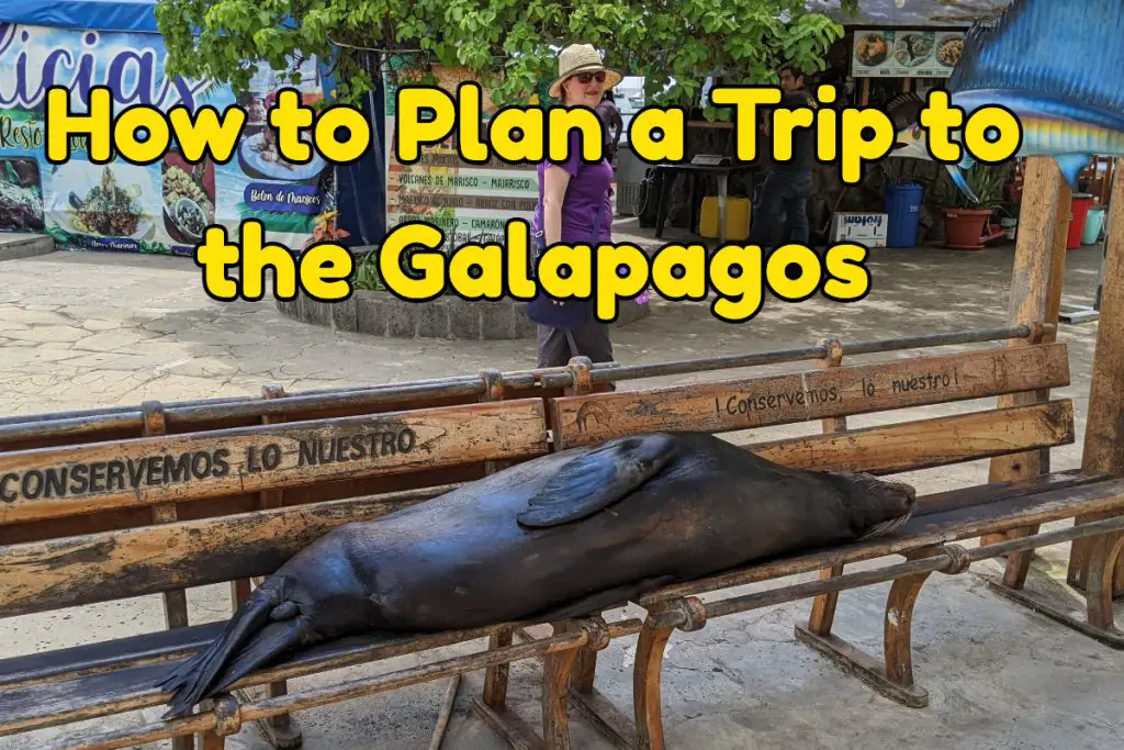 How to plan a trip to the Galapagos