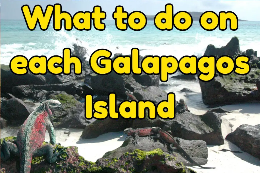 what to do on each galapagos island