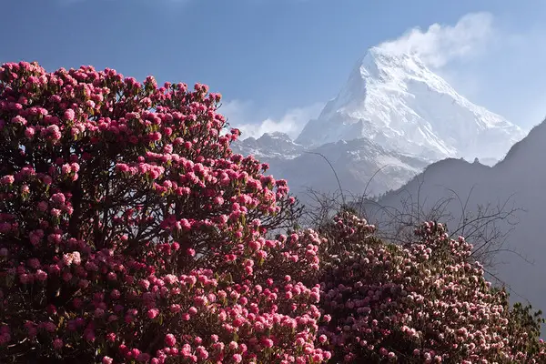  Himalayas Nepal  - Where to go in March