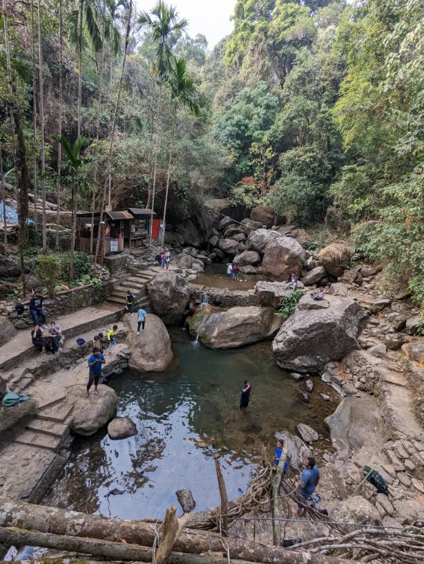 The view from on top of the double-root tree bridge