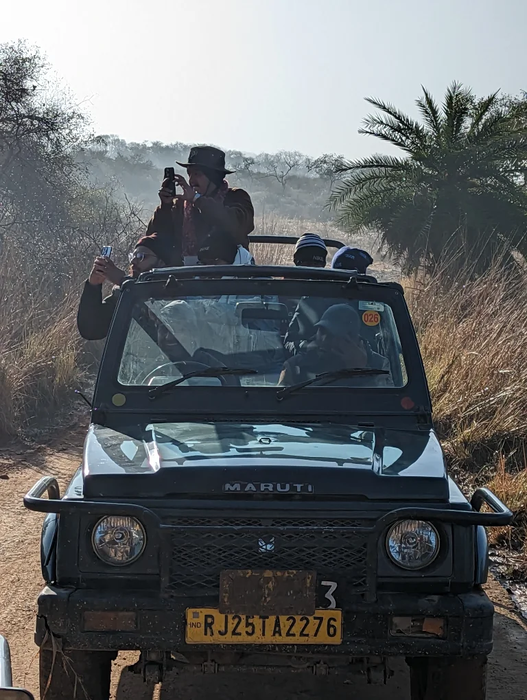 Ranthambore National Park - Jeep