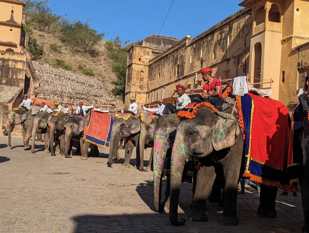 Riding Elephants - Painted elephants