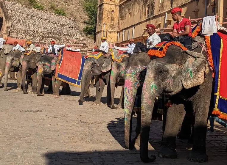 More painted elephants - Riding Elephants
