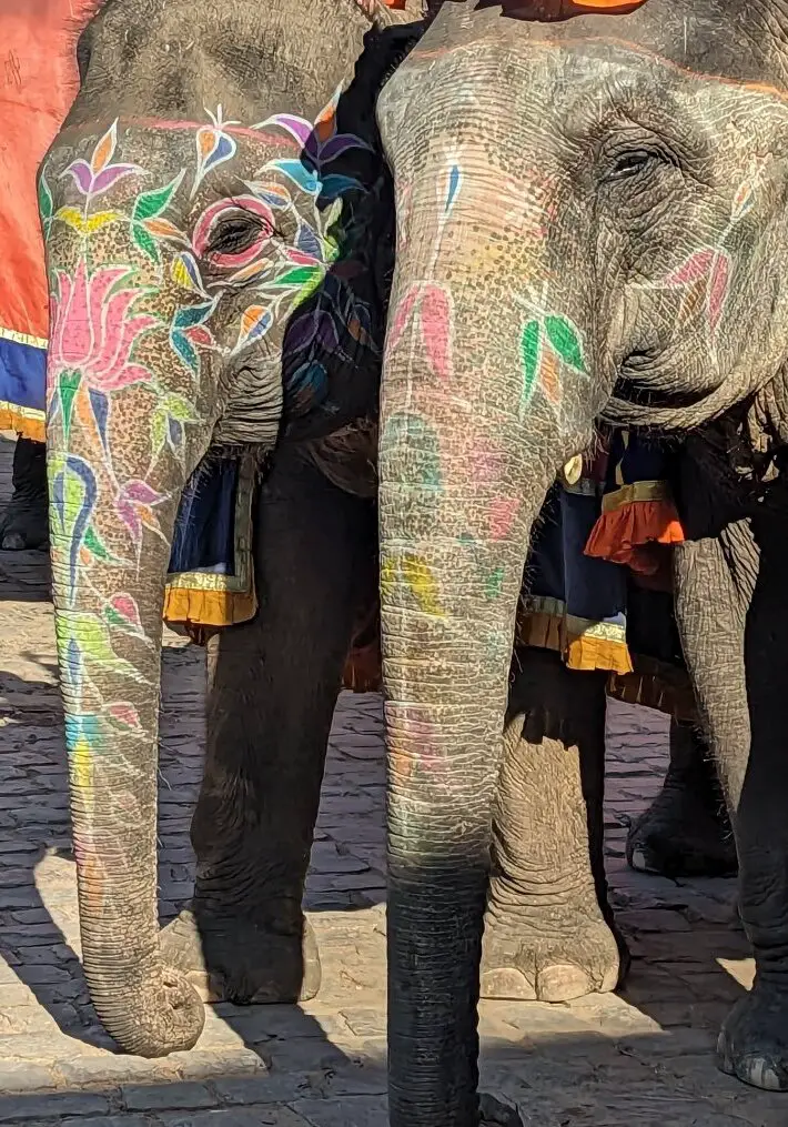 Painted Elephants - Riding Elephants