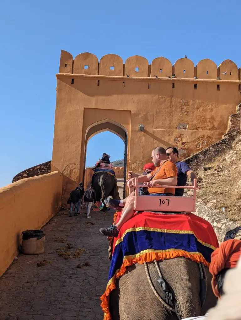 Riding Elephants - Elephant dung and narrow passage