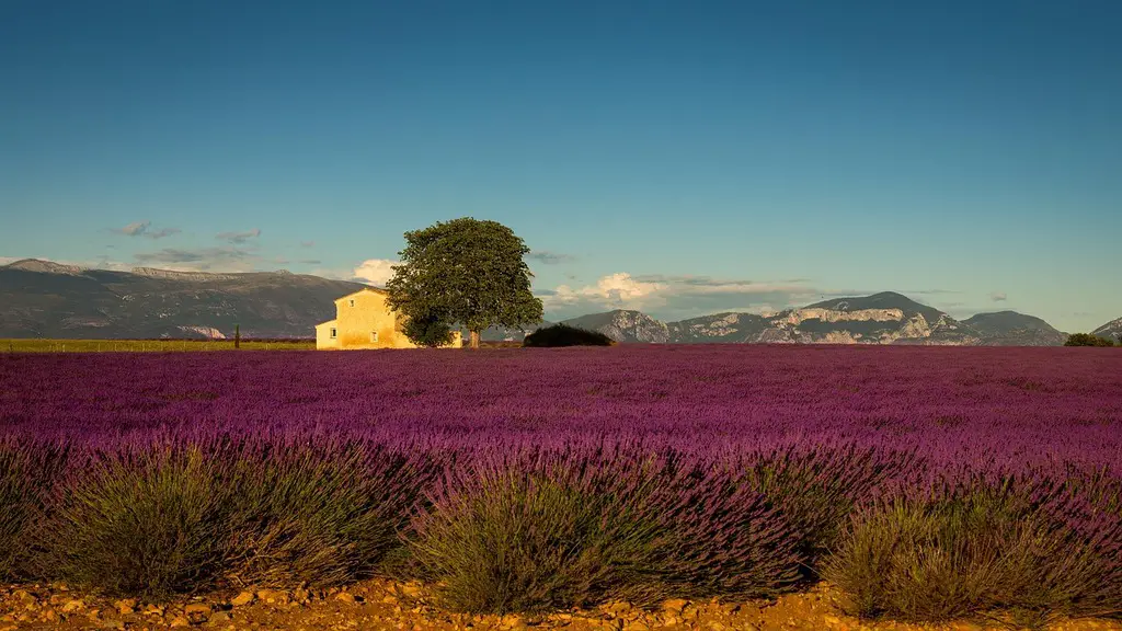 Where to go in July - Provence France