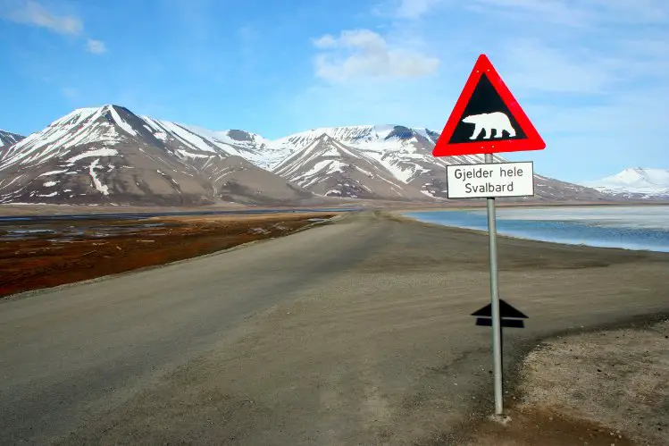 Where to go in July - Svalbard Norway