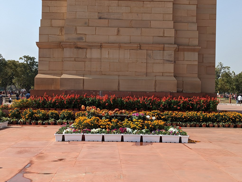 Flowers at India Gate, Delhi India